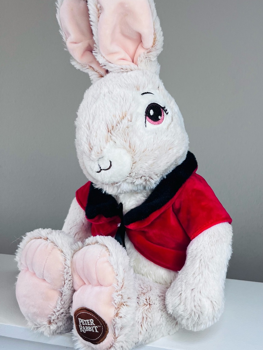 Dan Dee Peter Rabbit Collectors Choice plush stuffed animal 2020 Red Coat spring